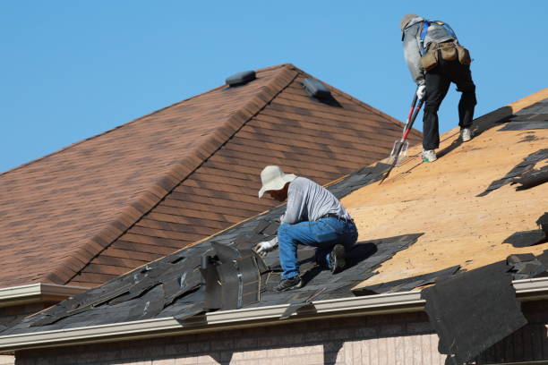Best Hot Roofs  in Dortches, NC