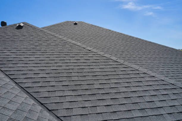 Best Roof Leak Repair  in Dortches, NC